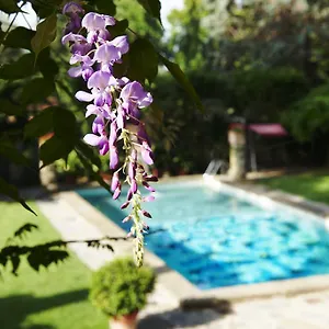 Park Palace Florencie